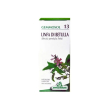 specchiasol gemmosol13 linfa betulla flacone da 50 ml - integratore drenante