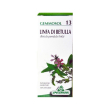 specchiasol gemmosol 13 linfa di betulla gemmoderivati 50 ml