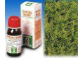 specchiasol cipresso 11 tintura madre 50 ml