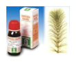 equiseto 12 50ml tm