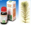 equiseto 12 50ml tm specch