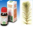 equiseto 50ml tm specchiasol