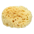 spugna naturale n. 6 super