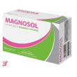 magnosol 20 bustine effervescenti