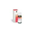 reckeweg r1 gocce 22ml