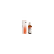reckeweg r6 gocce 22ml