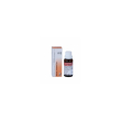 reckeweg r12 gocce 22ml