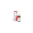 reckeweg r13 gocce 22ml