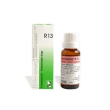 r13 reckeweg gocce 22 ml