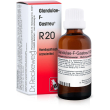 dr.reckeweg & co. gmbh reckeweg r20 gocce 22ml