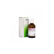 dr. reckeweg r23 gocce orali omeopatiche 22 ml