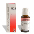 dr. reckeweg r24 gocce 22 ml