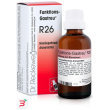 reckeweg r26 gocce 22ml