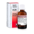 reckeweg r28 gocce 22 ml