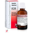 reckeweg r28 gocce 22ml