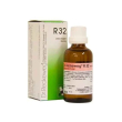 r32 reckeweg gocce 22 ml