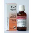 dr. reckeweg r40 gocce omeopatiche 22 ml