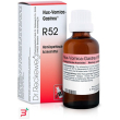 reckeweg r52 gocce 22ml