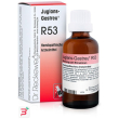 reckeweg r53 gocce 22ml