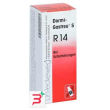 reckeweg r14 gocce 50ml