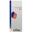 taraxacum dens leo 60 ml tintura madre