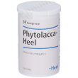 guna phytolacca heel® compresse 50 pz