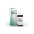 berberis homaccord omeopatico in gocce 30 ml - guna