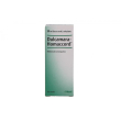 guna heel dulcamara homaccord gocce 30 ml - rimedio omeopatico