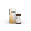 euphorbium compositum heel guna - medicinale omeopatico - gocce - 30 ml