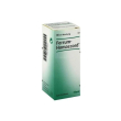 ferrum-homaccord gocce 30ml - medicinale omeopatico per l'anemia e la debolezza - ferrum-homaccord,