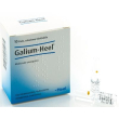 guna-heel galium soluzione omeopatica iniettabile 10 fiale