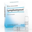 heel lymphomyosot 10fl 1,1 ml