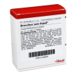 guna heel bronchus suis-injeel 10 fiale - rimedio omeopatico