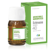 lehning 40 echinacea comp 20m
