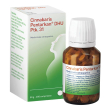 cinnabaris 31 ptk 200 compresse in flacone da 50 grammi