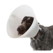 collare elisabetta classic 10 cm (buster dog collar 10.0 cm) minsan 9...
