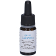 quintessenza qe10 lavanda 10ml 10 ml olio essenziale