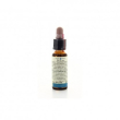 aspen 10ml di leo
