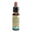 cerato 10ml di leo