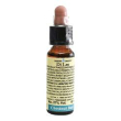 chestnut bud 10ml di leo