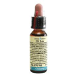 chicory 10ml di leo