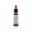 elm 10ml di leo =