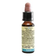 larch 10ml di leo