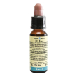 larch 10ml di leo