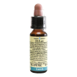 larch 10ml di leo 10 ml soluzione orale