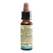 larch 10ml di leo