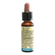 mustard n21 fiore di bach 10ml