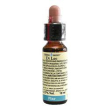 pine 10ml di leo