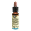 rock rose 10ml di leo