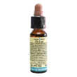 star bethlehem 10ml di leo